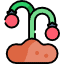 Can You Grow Tomatoes In Sawdust? Icon