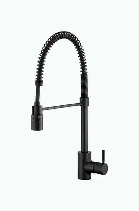 Product Image of the Danze Foodie Faucet